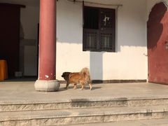 -卓刀泉寺