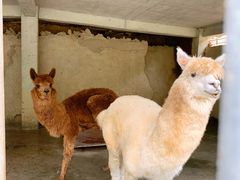 -田园寨农园观光园