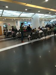 -上海市儿童医院(泸定路院区)