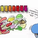 动静界凤凰店———肝胆排毒