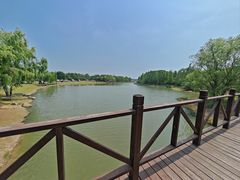 -贡湖湾湿地公园