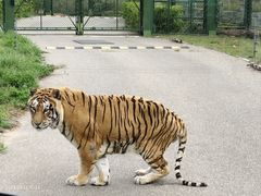 -鄂尔多斯野生动物园