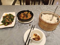 -陈麻婆豆腐总店