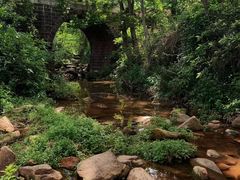 -萍乡武功山风景名胜区