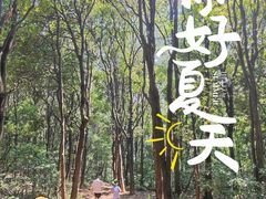-广州市白云山风景名胜区