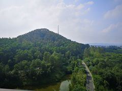 -美的鹭湖森林度假区