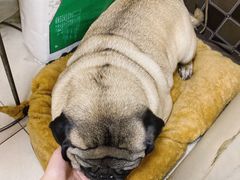 -双冰面馆(茶南店)