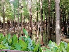 -捞渔河湿地公园