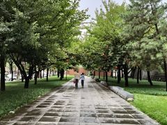 -唐城墙遗址公园