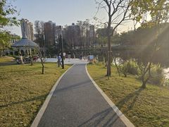 -四海公园(南山区)