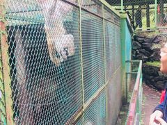 -藏龙百瀑风景区