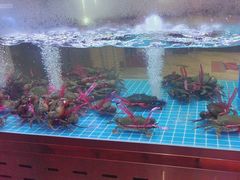 -徐记小怪兽肉蟹煲(中央大街店)