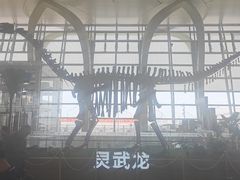 -银川河东国际机场