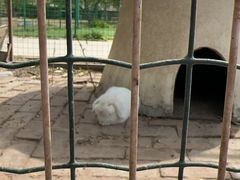 -意大利农场度假村