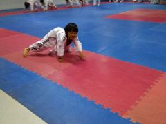 -陈中跆拳道(中关村馆)