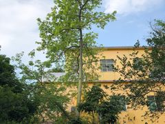 -广东花都香草世界旅游度假区