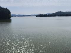 -东湖落雁景区