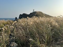 -涉地可支