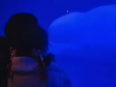 -大连圣亚海洋世界