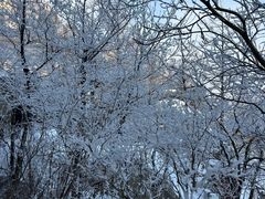 -崂山巨峰游览区
