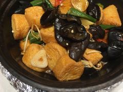 -金蝉食府(维吉奥广场店)