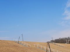 -佛手湖郊野公园