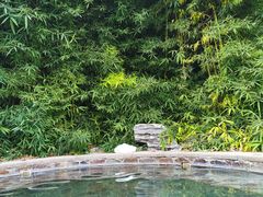 -中家鑫园温泉酒店鑫悦汤泉