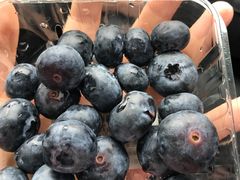 蓝莓-山姆会员商店(梅江会展中心店)