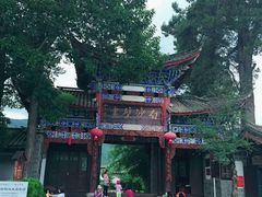 -蘑统田下·野生菌火锅