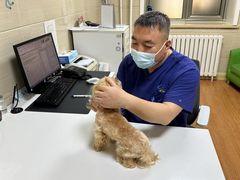 -北京观赏动物医院·24小时大型综合·猫专科·异宠专科