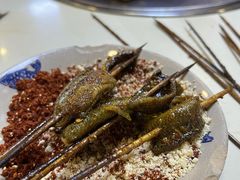 鳝鱼-晓靖轩烧烤(沙河风情店)