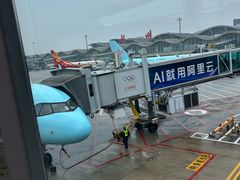 -杭州萧山国际机场