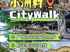 -小洲村