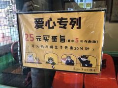 -猫咪博物馆(顶澳仔猫街店)