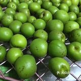 青梅酒
