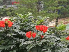 -广州雕塑公园