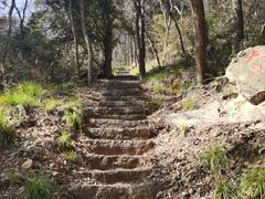 -青龙山国家森林公园
