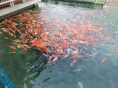-广东圆玄道观