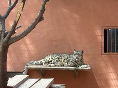 -青藏高原野生动物园