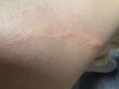 -水底山庄园温泉