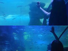 -左海海底世界