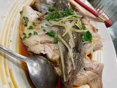 清蒸鲈鱼-眉州东坡(华联万柳店)