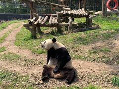 -宁波野生动物园