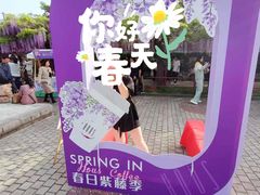 -嘉定紫藤园