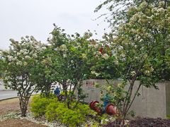 -大龙山(地铁站)