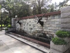-黑龙江省森林植物园