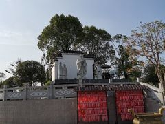 -武汉紫薇都市田园