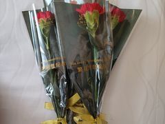 -广州花园酒店