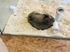 -怪兽屋·羊驼·猫咖·狗咖(俊华广场店)