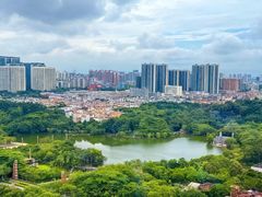 -安乐茶饭·手工素菜·高空景观餐厅(千灯湖店)